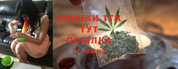 прущая мука Арсеньев