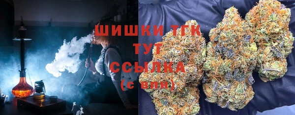 прущая мука Арсеньев