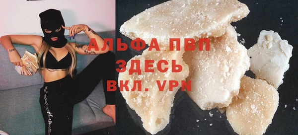 СК Аркадак
