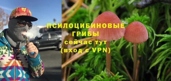 apvp Магадан