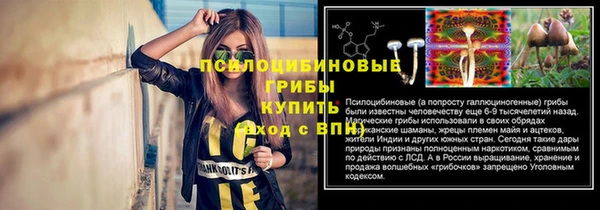 соль ск Магас