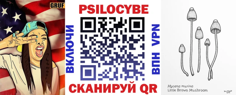Галлюциногенные грибы Psilocybe  где купить наркоту  Плавск 