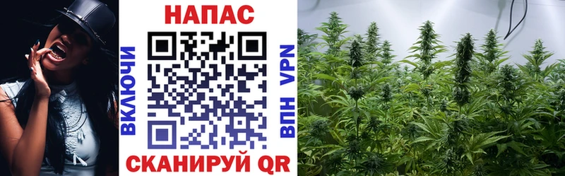 Бошки Шишки марихуана  MEGA ССЫЛКА  Плавск 
